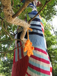 SX24293 Urban knitting on tree at Floriade.jpg